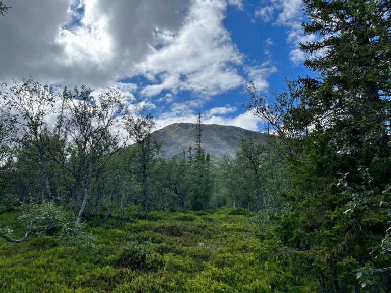 Välkommen till Sverige