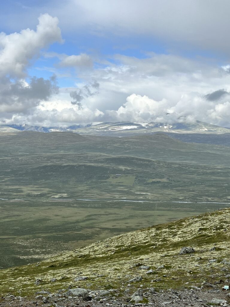 Wandelen in de regen